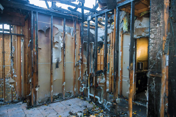 Professional Fire Damage Removal technician working in White Oak, MD